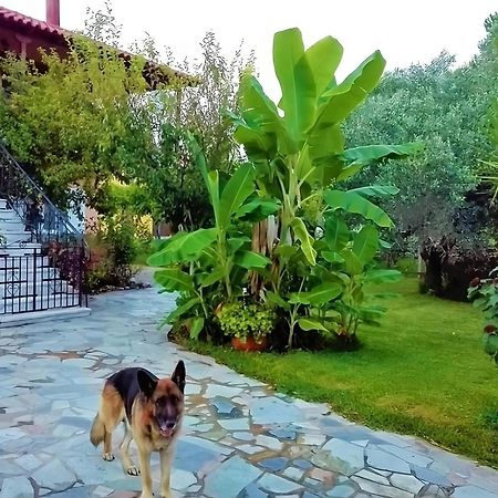 Cottage House,With Big Garden & Lawn Amaliada Extérieur photo