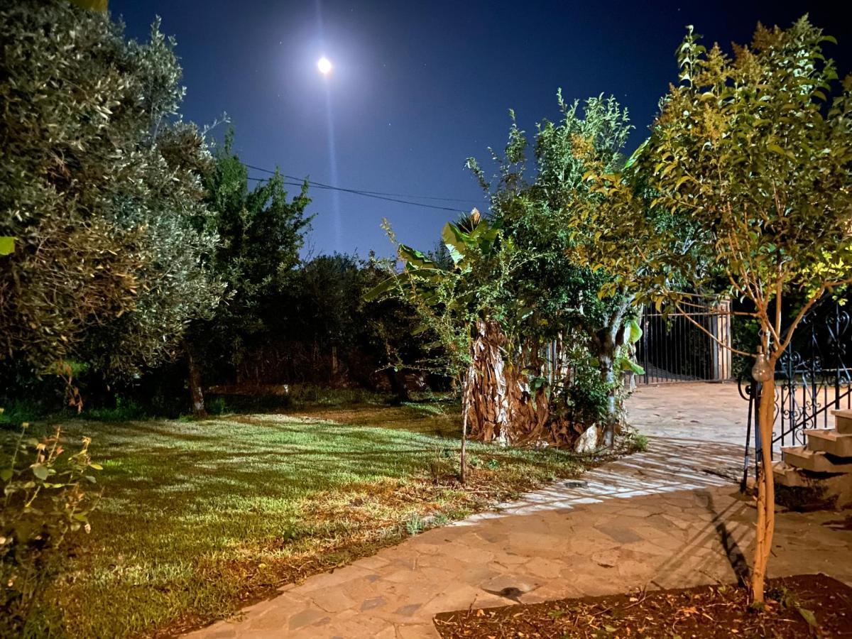 Cottage House,With Big Garden & Lawn Amaliada Extérieur photo