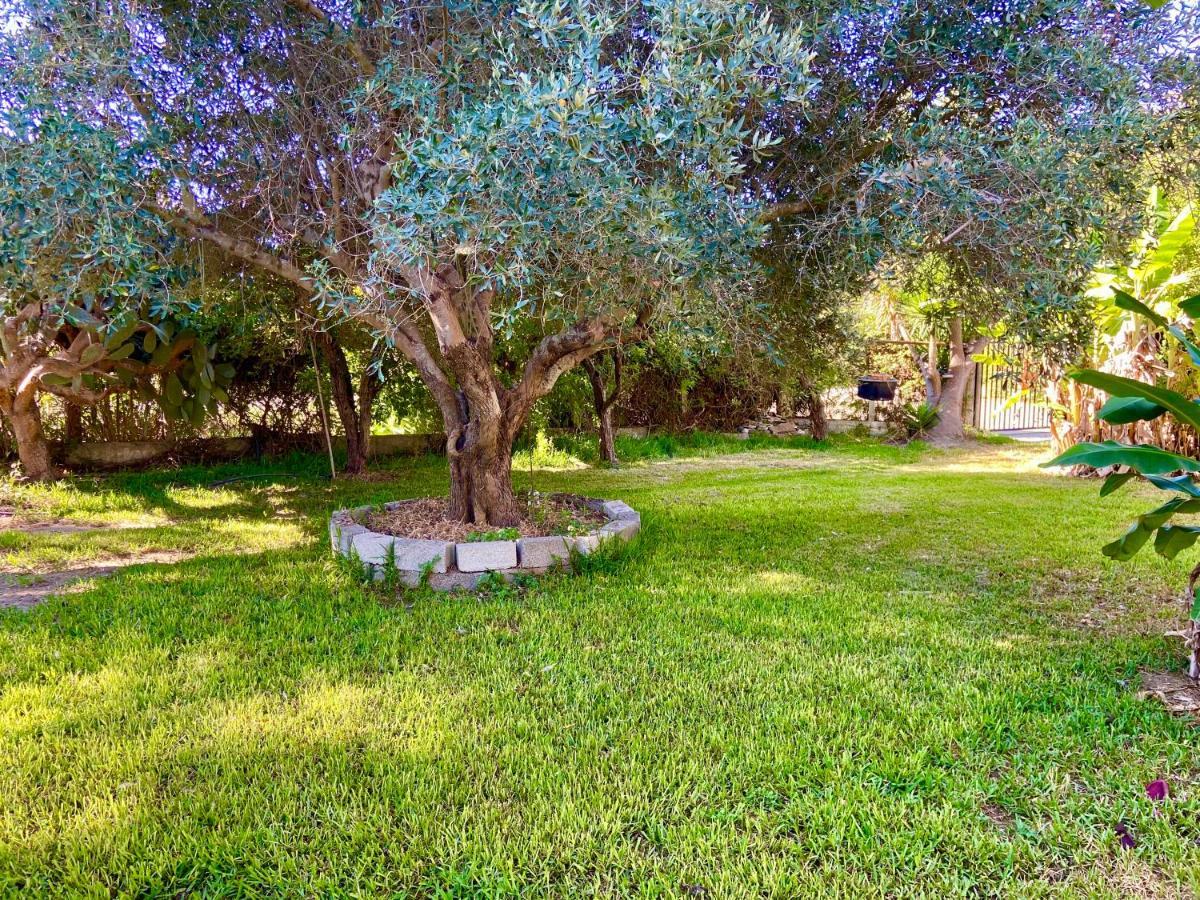 Cottage House,With Big Garden & Lawn Amaliada Extérieur photo