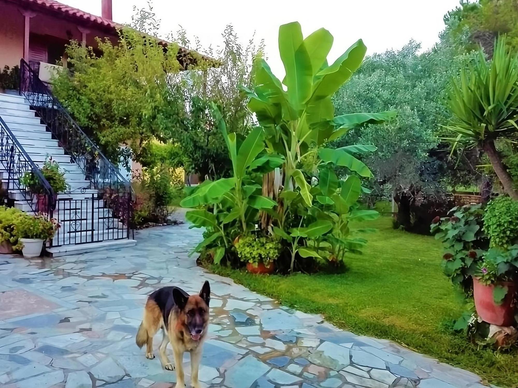 Cottage House,With Big Garden & Lawn Amaliada Extérieur photo